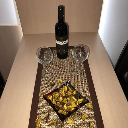 Viktor アパート コパオニク